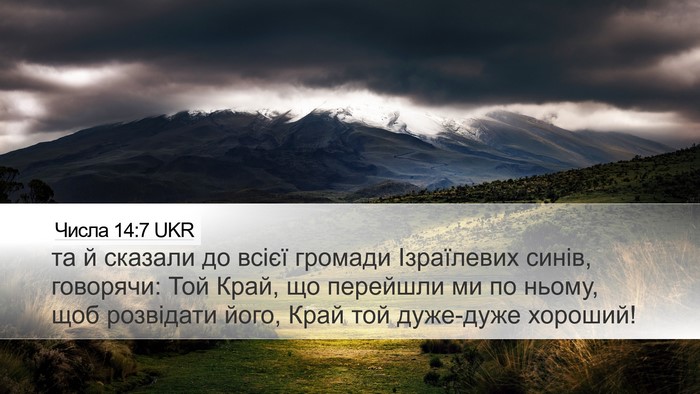Числа 14:7 UKR Desktop Wallpaper - та й сказали до всієї - Desktop Bible Verse Wallpaper