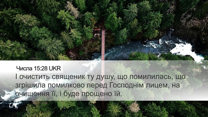 Числа 15:28 UKR Bible Verse Image