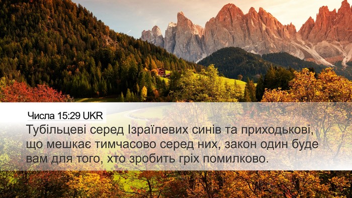 Числа 15:29 UKR Bible Verse Image