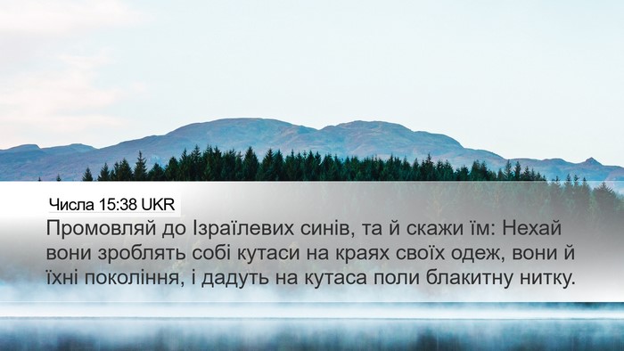 Числа 15:38 UKR Bible Verse Image