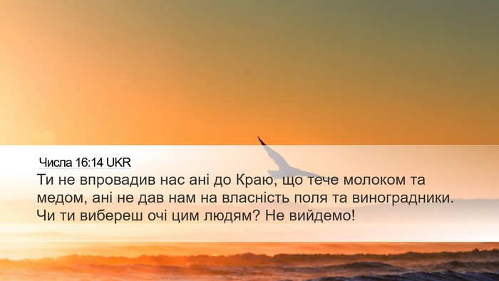 Числа 16:14 UKR Desktop Wallpaper - Ти не впровадив нас ані до - Desktop Bible Verse Wallpaper