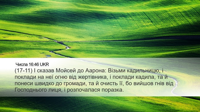 Числа 16:46 UKR Bible Verse Image