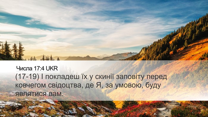 Числа 17:4 UKR Desktop Wallpaper - (17-19) І покладеш їх у скинії - Desktop Bible Verse Wallpaper