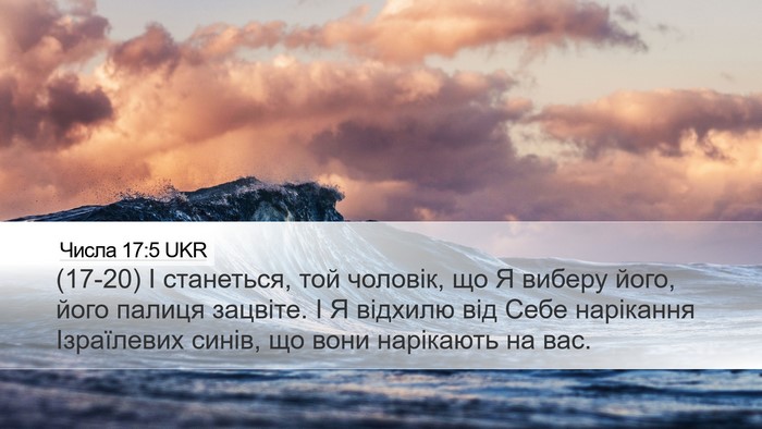 Числа 17:5 UKR Bible Verse Image