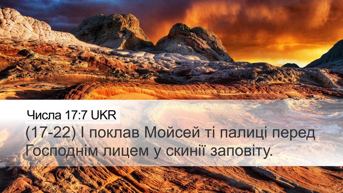 Числа 17:7 UKR Desktop Wallpaper - (17-22) І поклав Мойсей ті - Desktop Bible Verse Wallpaper