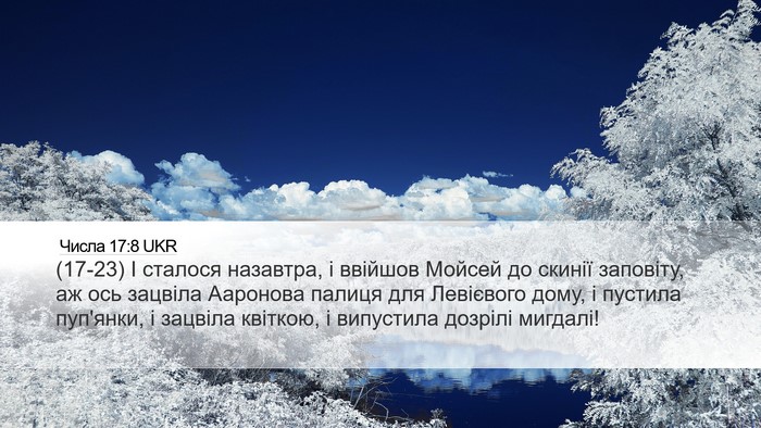 Числа 17:8 UKR Desktop Wallpaper - (17-23) І сталося назавтра, і - Desktop Bible Verse Wallpaper