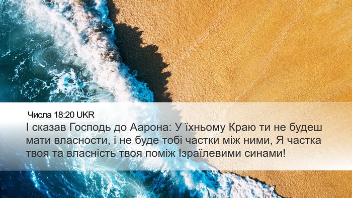 Числа 18:20 UKR Bible Verse Image
