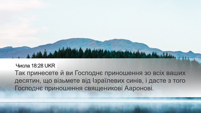 Числа 18:28 UKR Desktop Wallpaper - Так принесете й ви - Desktop Bible Verse Wallpaper