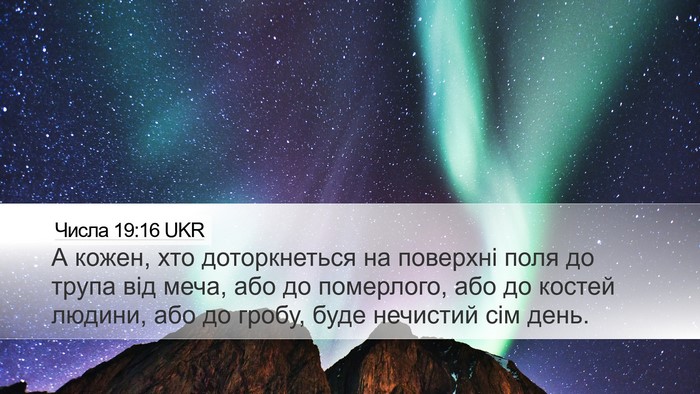 Числа 19:16 UKR Bible Verse Image