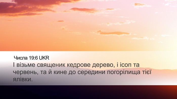 Числа 19:6 UKR Bible Verse Image