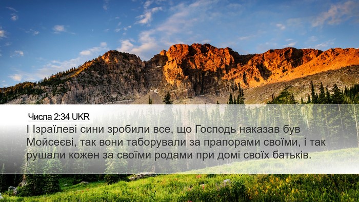 Числа 2:34 UKR Bible Verse Image