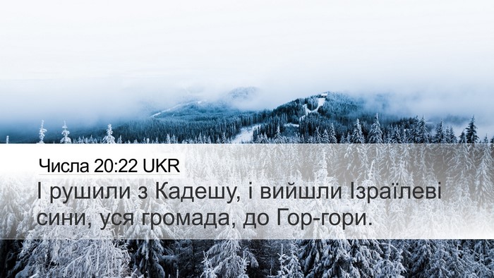 Числа 20:22 UKR Desktop Wallpaper - І рушили з Кадешу, і вийшли - Desktop Bible Verse Wallpaper