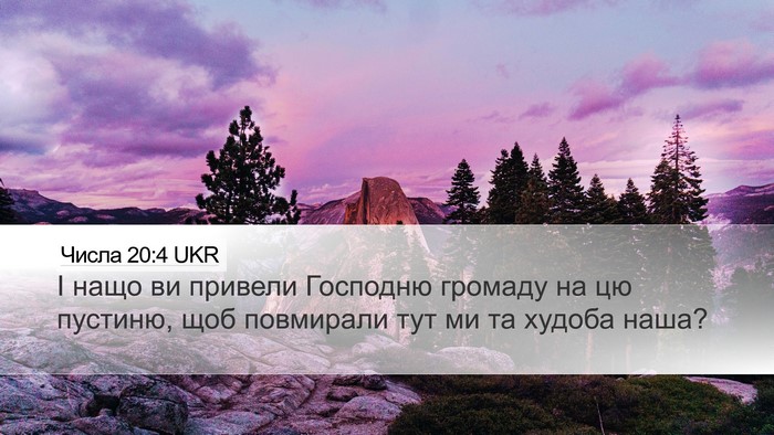 Числа 20:4 UKR Bible Verse Image