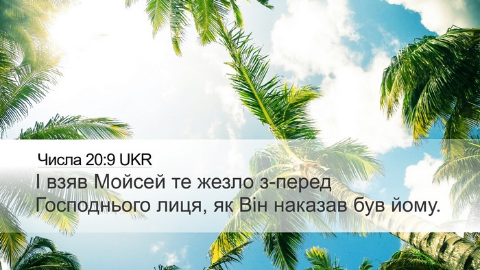 Числа 20:9 UKR Desktop Wallpaper - І взяв Мойсей те жезло - Desktop Bible Verse Wallpaper