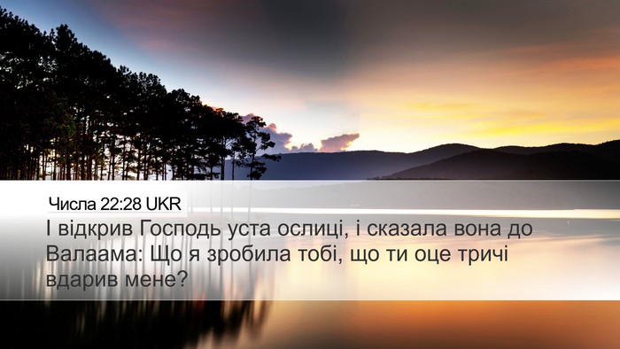 Числа 22:28 UKR Bible Verse Image