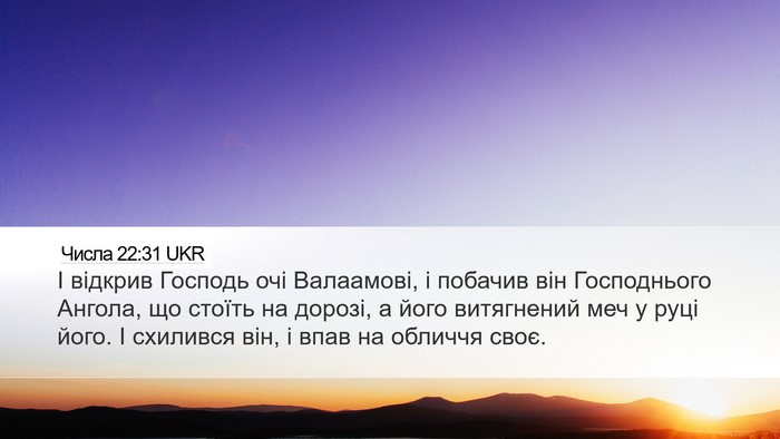 Числа 22:31 UKR Bible Verse Image