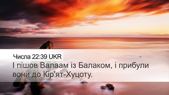 Числа 22:39 UKR Desktop Wallpaper - І пішов Валаам із Балаком, - Desktop Bible Verse Wallpaper