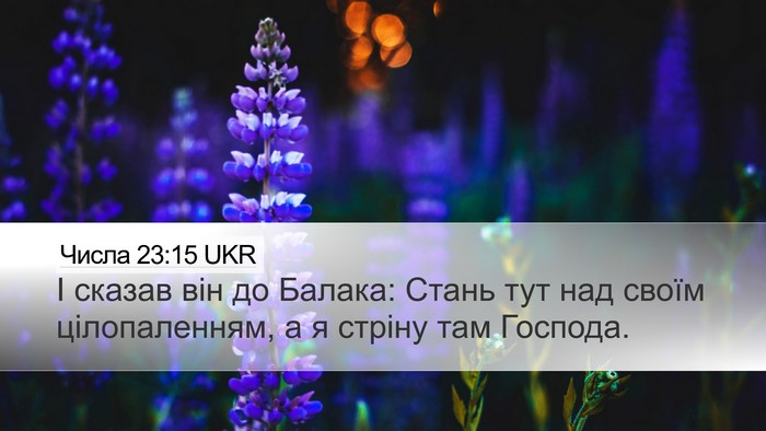 Числа 23:15 UKR Bible Verse Image