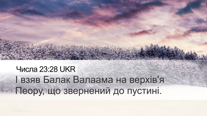 Числа 23:28 UKR Bible Verse Image