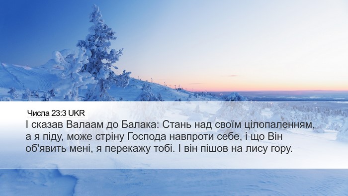 Числа 23:3 UKR Bible Verse Image