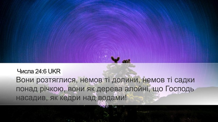 Числа 24:6 UKR Desktop Wallpaper - Вони розтяглися, немов ті - Desktop Bible Verse Wallpaper
