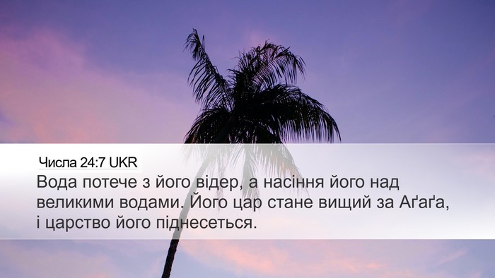 Числа 24:7 UKR Bible Verse Image