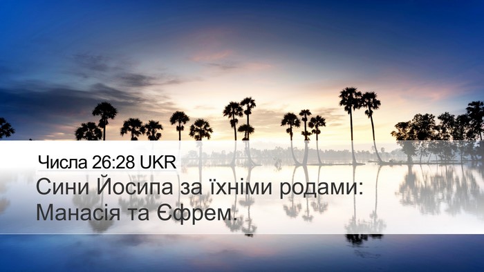 Числа 26:28 UKR Bible Verse Image