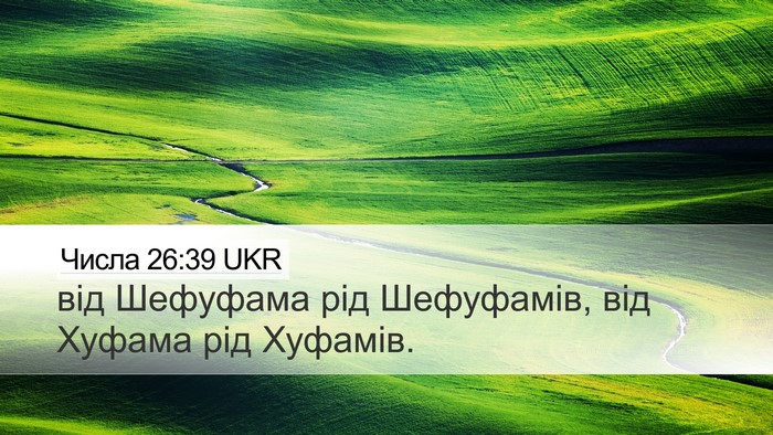 Числа 26:39 UKR Desktop Wallpaper - від Шефуфама рід - Desktop Bible Verse Wallpaper