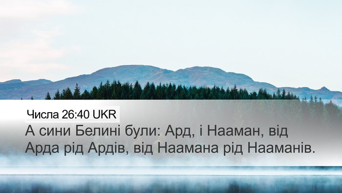 Числа 26:40 UKR Desktop Wallpaper - А сини Белині були: Ард, і - Desktop Bible Verse Wallpaper