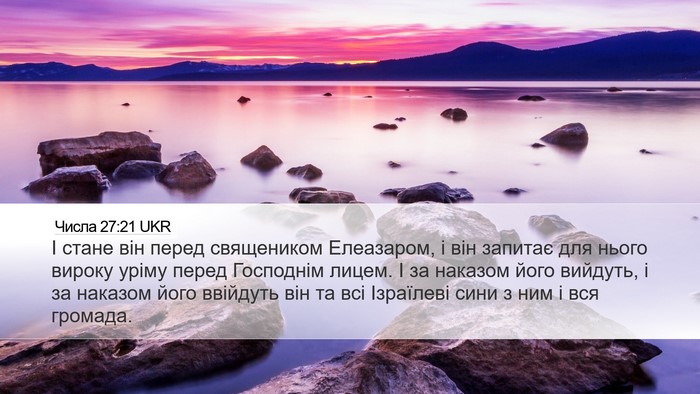 Числа 27:21 UKR Bible Verse Image
