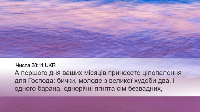 Числа 28:11 UKR Bible Verse Image