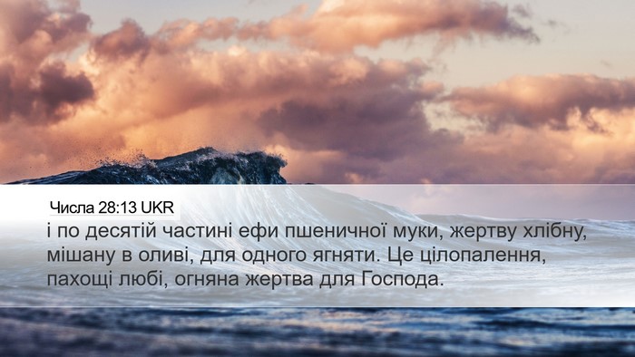 Числа 28:13 UKR Desktop Wallpaper - і по десятій частині ефи - Desktop Bible Verse Wallpaper