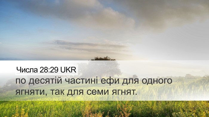 Числа 28:29 UKR Desktop Wallpaper - по десятій частині ефи для - Desktop Bible Verse Wallpaper