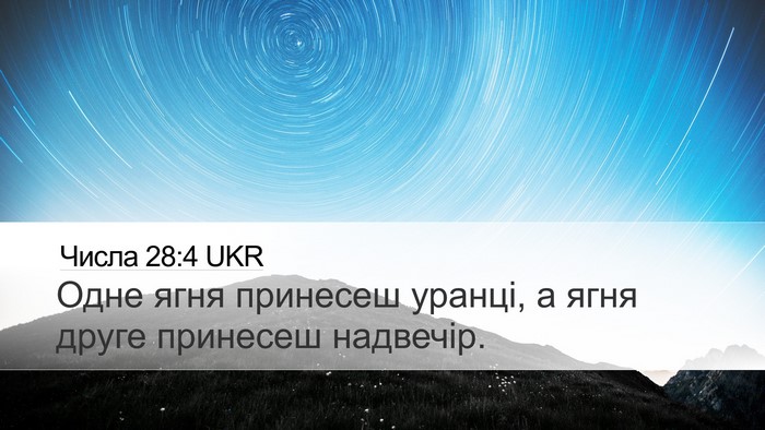 Числа 28:4 UKR Desktop Wallpaper - Одне ягня принесеш уранці, - Desktop Bible Verse Wallpaper