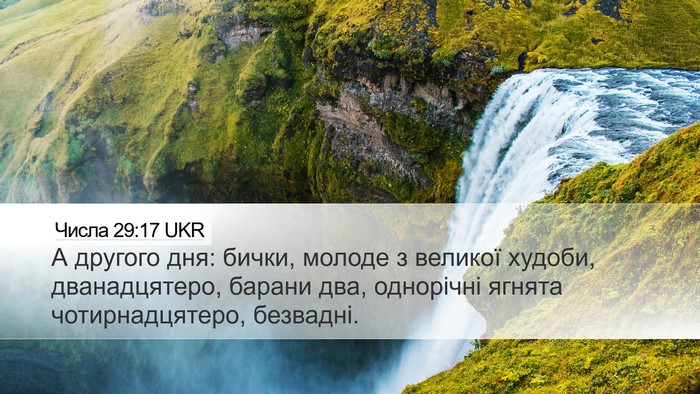 Числа 29:17 UKR Desktop Wallpaper - А другого дня: бички, - Desktop Bible Verse Wallpaper