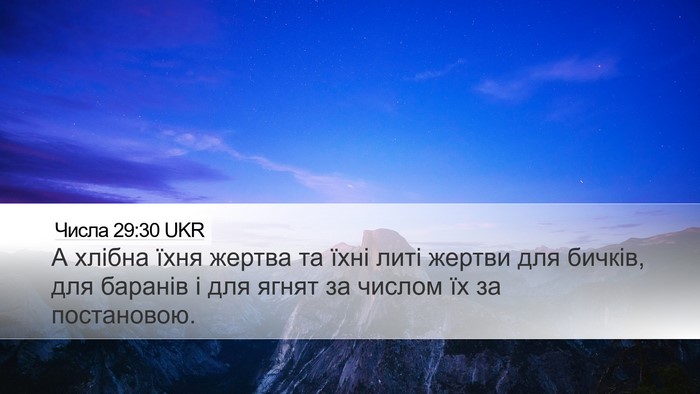 Числа 29:30 UKR Desktop Wallpaper - А хлібна їхня жертва та - Desktop Bible Verse Wallpaper