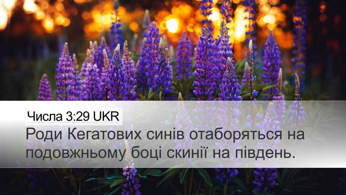 Числа 3:29 UKR Desktop Wallpaper - Роди Кегатових синів - Desktop Bible Verse Wallpaper