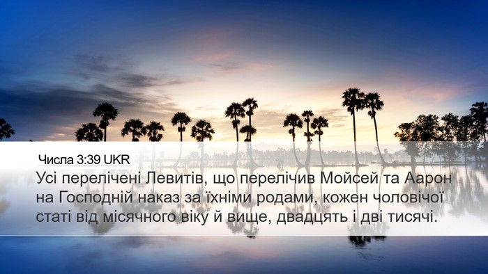 Числа 3:39 UKR Bible Verse Image