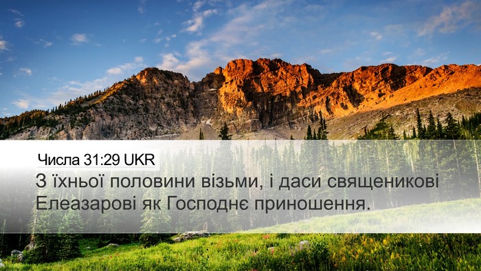 Числа 31:29 UKR Bible Verse Image