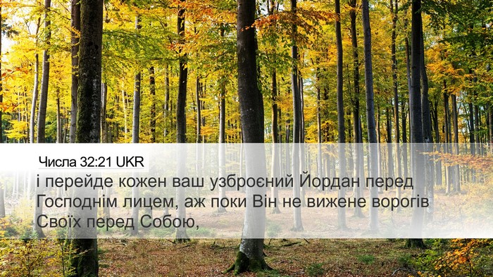 Числа 32:21 UKR Desktop Wallpaper - і перейде кожен ваш - Desktop Bible Verse Wallpaper