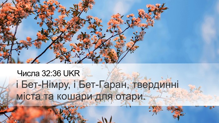 Числа 32:36 UKR Bible Verse Image