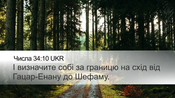 Числа 34:10 UKR Bible Verse Image