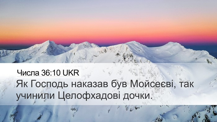 Числа 36:10 UKR Bible Verse Image