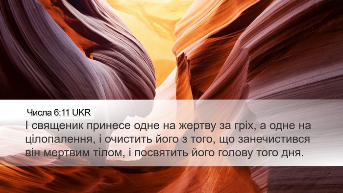 Числа 6:11 UKR Desktop Wallpaper - І священик принесе одне на - Desktop Bible Verse Wallpaper