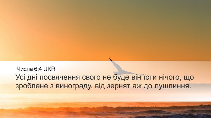 Числа 6:4 UKR Bible Verse Image