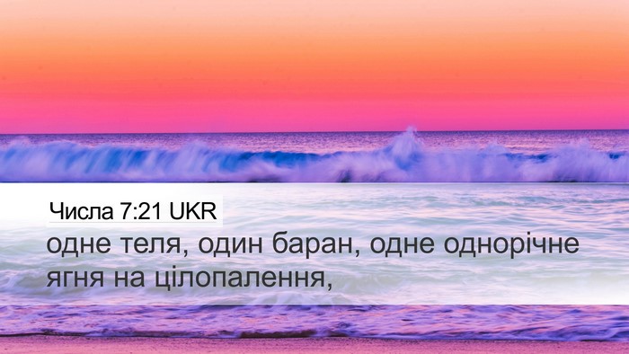 Числа 7:21 UKR Desktop Wallpaper - одне теля, один баран, одне - Desktop Bible Verse Wallpaper