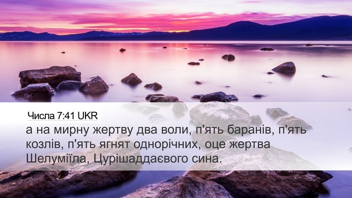 Числа 7:41 UKR Desktop Wallpaper - а на мирну жертву два воли, - Desktop Bible Verse Wallpaper