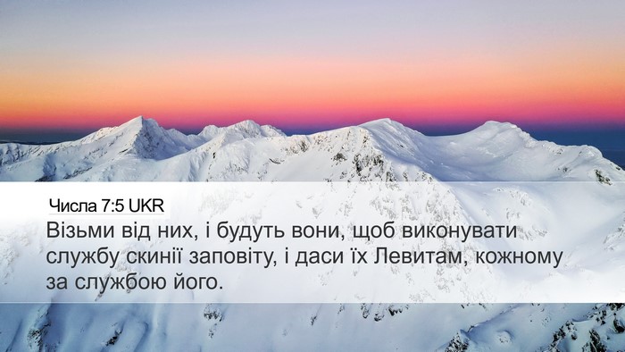 Числа 7:5 UKR Bible Verse Image