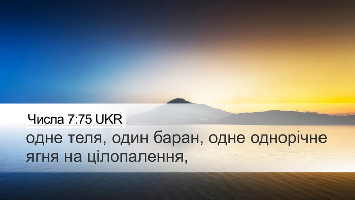 Числа 7:75 UKR Desktop Wallpaper - одне теля, один баран, одне - Desktop Bible Verse Wallpaper