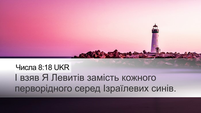 Числа 8:18 UKR Desktop Wallpaper - І взяв Я Левитів замість - Desktop Bible Verse Wallpaper